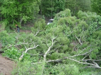 25th May 2008 003